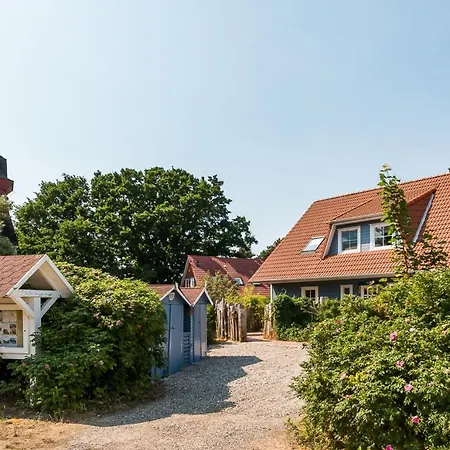 Darsser Smuggler Hus 3 - #118381 Wieck